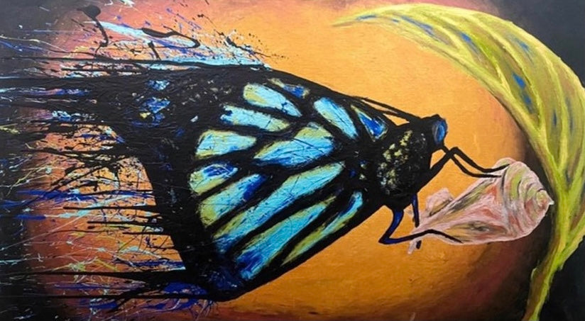 Dark Butterfly